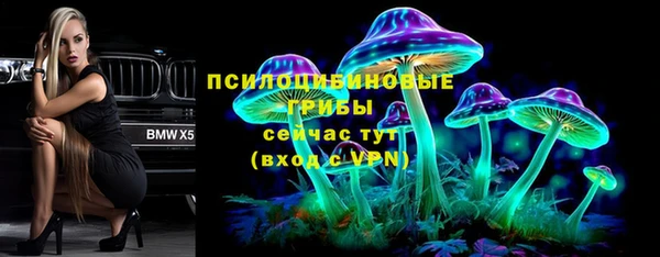 spice Няндома