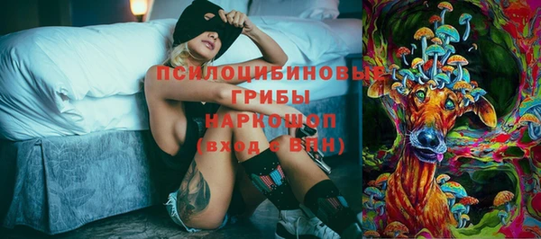 spice Няндома