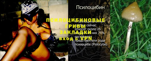 кокс Нягань
