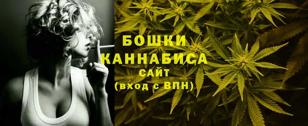 spice Няндома