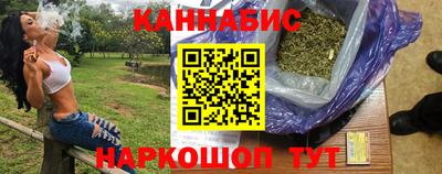 индика Бийск