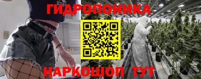 амф Берёзовский